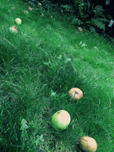 FullSizeRender copy 5